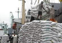 Afrique : les pays qui dépensent le plus dans les importations alimentaires produits alimentaires