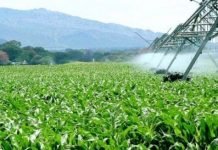250 000 hectares de terres agricoles restitués