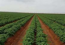 Le gouvernement interdit le déclassement des terres agricoles Exploitations agricoles: annulation du prépaiement des redevances de raccordement en électricité