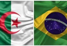 Algérie-Brésil : Les échanges commerciaux ont atteint 2,32 milliards de dollars en huit mois l'Algérie et le Brésil