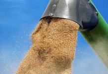 La Russie exporte plus de 11 millions de tonnes de produits agricoles vers l’Afrique au premier semestre 2026