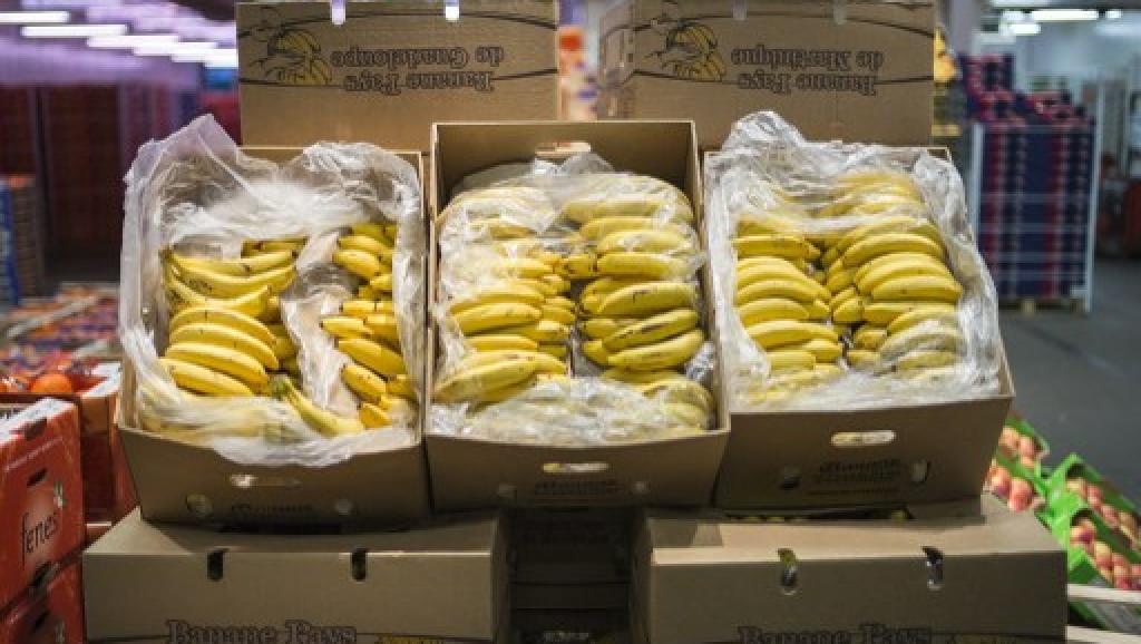 Commercialisation de la banane à prix réduits au cours cette semaine