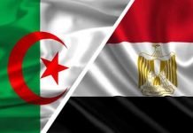 Les Algériens peuvent obtenir un visa de 5 ans pour l’Égypte
