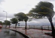 Vents forts samedi sur des wilayas de l’ouest du pays