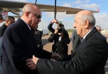 Erdogan renouvelle son invitation au président Tebboune pour effectuer une visite en Turquie Erdogan renouvelle son invitation au président Tebboune pour effectuer une visite en Turquie