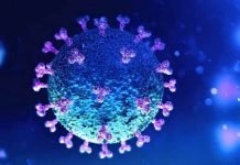 Covid-19 : L’OMS déclare la fin de l’urgence sanitaire mondiale Covid-19 : Des chercheurs français annoncent la découverte d'un traitement alternatif au vaccin