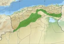 Réhabilitation du Barrage vert : Plus de 42.000 hectares plantés entre 2023 et 2026 Réhabilitation du barrage vert : reboisement de 400.000 hectares d'ici 2027