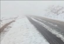 Algérie : Premières neiges de la saison prévues durant le week-end Photo archives
