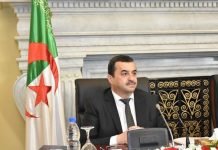Arkab prendra part demain à la 31éme Réunion ministérielle OPEP-Non OPEP