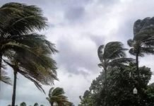 Des vents forts attendus mardi et mercredi sur plusieurs wilayas du Sud