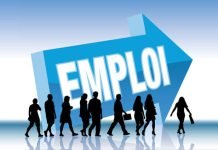 Algérie : 87% des emplois créés par le secteur privé