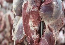 Alviar signe des conventions avec 12 sociétés de distribution des viandes rouges importées à des prix plafonnés Le ministère de l'Agriculture et du Développement rural a annoncé la réouverture de l'importation de viandes rouges et blanches
