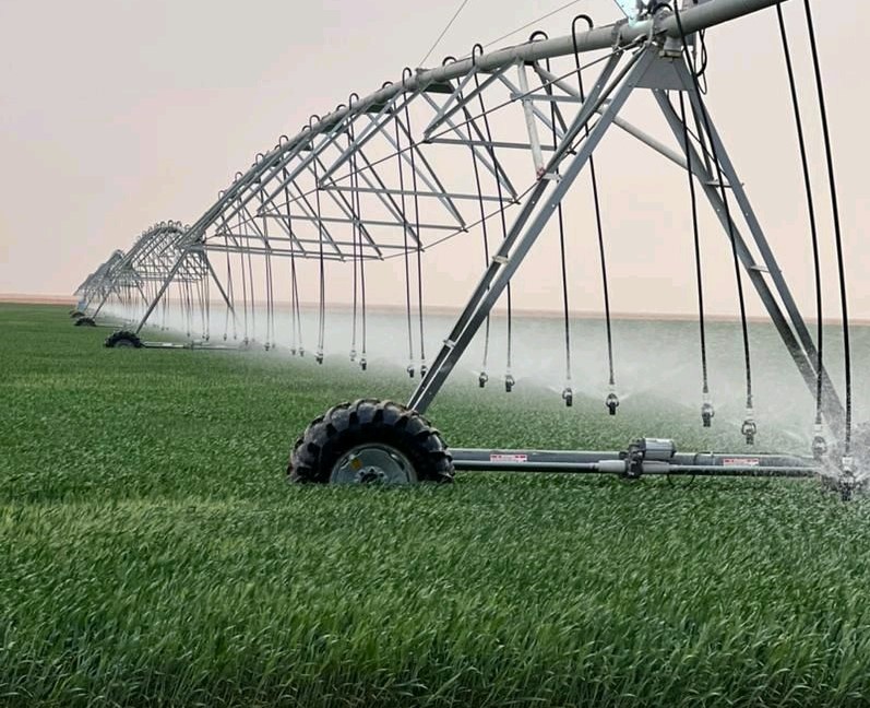 Agriculture : L’Algérie vise 3 millions d’hectares de périmètres irrigués