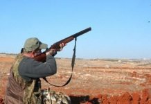 Chasse 2025-2026 : les services du Premier ministre démentent une interdiction à partir de mi-janvier