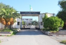 Université de Sidi Bel Abbès : Deux étudiantes développent un appareil de stérilisation à l’ozone destiné aux secteurs agricole et industriel