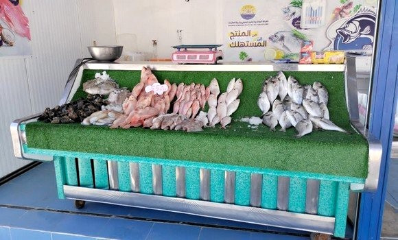 Ramadhan : plus de 200 points de vente directe des produits de la pêche et de l’aquaculture