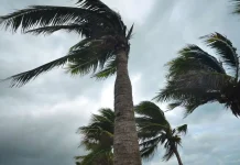 Des vents forts lundi sur plusieurs wilayas du pays Violents orages dans 5 wilayas du Sud