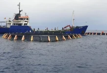 Aquaculture maritime : Plusieurs projets pour promouvoir la production des aliments