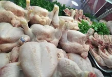 L’ONAB renforce l’offre en viandes blanches et en œufs pour le Ramadhan Viandes blanches : commercialisation du poulet au prix de 295 DA/kg à partir de jeudi