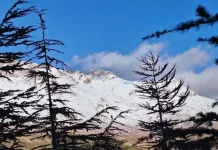 Sous la neige, la station climatique de Tikjda connaît un afflux de visiteurs La station climatique de Tikjda séduit en ce début de vacances d’hiver