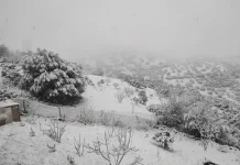 Des chutes de neige sur les reliefs du Centre et de l’Est, mercredi et jeudi Des chutes de neige sur les reliefs des Aurès à partir de ce dimanche