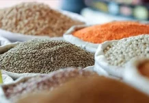 Exclusivité d’importation des légumes secs et riz à l’OAIC : la liste des sous-positions tarifaires élargie Légumes secs et riz : les marges bénéficiaires plafonnées