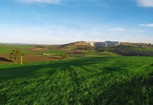 Yacine Oualid préside une rencontre nationale sur le foncier agricole