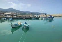 Pêche : l’importation de moteurs de moins de cinq ans bientôt autorisée pour les navires côtiers Importation des navires de pêche de moins de 5 ans : les conditions fixées