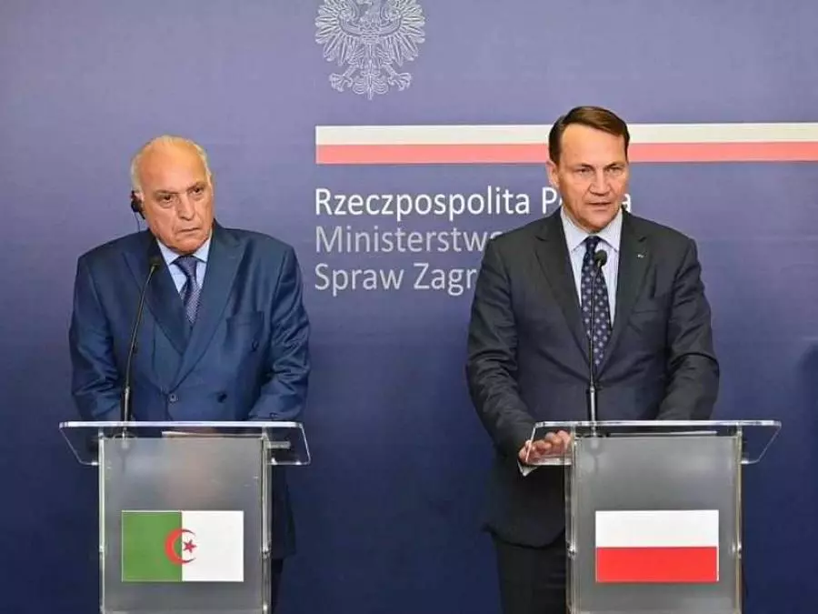 Algieria-Polska: Porozumienie w sprawie utworzenia grupy roboczej w celu ustalenia form współpracy w dziedzinie energetyki