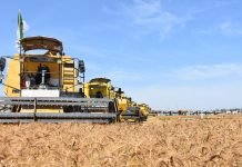 Campagne moisson-battage : AgroDrive mobilise 332 moissonneuses-batteuses et 765 camions pour le transport des récoltes