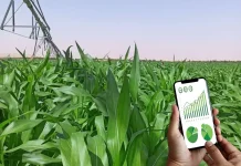 Algérie-Italie : les Universités de Sidi Bel Abbès et de Tuscia préparent un double diplôme en agriculture de précision et numérique Des expériences encourageantes dans le domaine de l'agriculture de précision