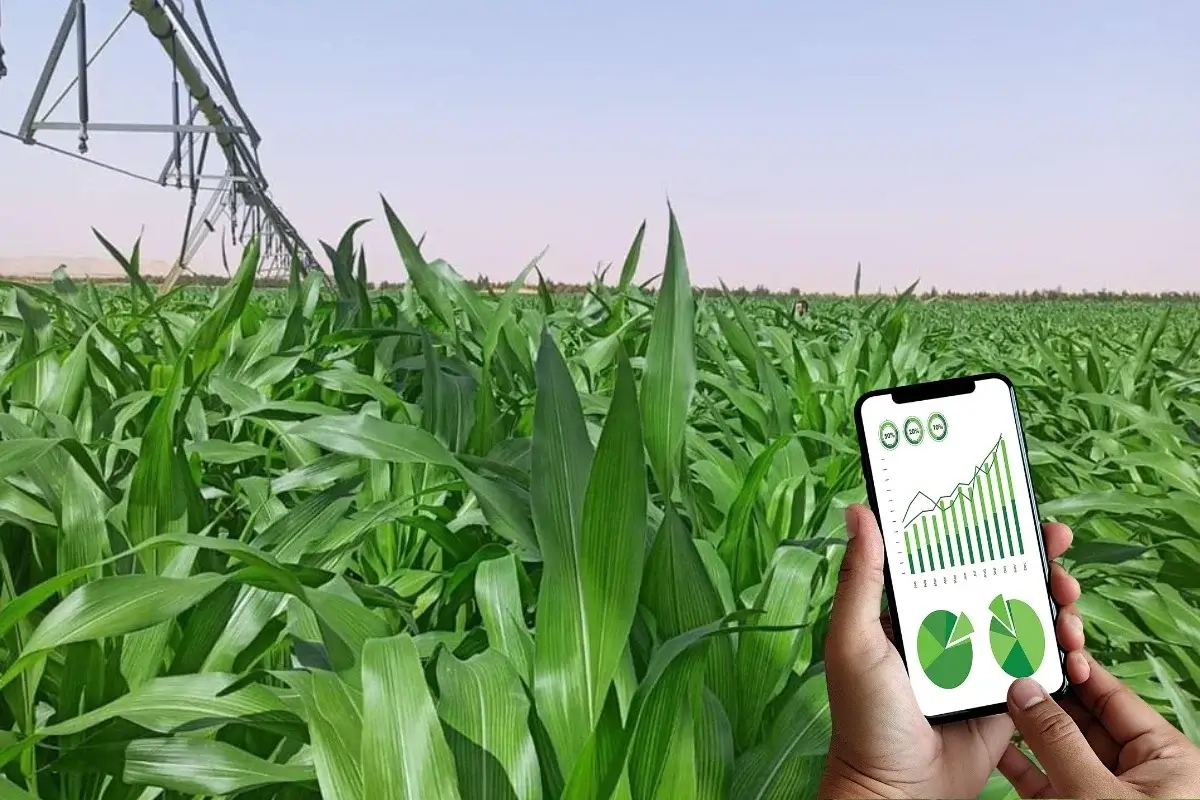 Partenariat universitaire algéro-italien dans l'agriculture de précision