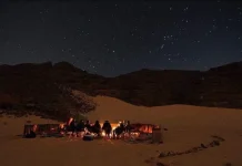 Plus de 16.000 touristes étrangers ont visité le Sahara algérien en 2024 Plus de 16.000 touristes étrangers ont visité le Sahara algérien en 2024