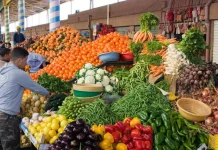 Algérie : des mesures pour réguler les prix des produits agricoles Algérie : des mesures pour réguler les prix des produits agricoles