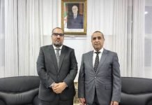 Sonelgaz : des préparatifs pour renforcer la coopération énergétique avec quatre pays d’Afrique de l’Ouest