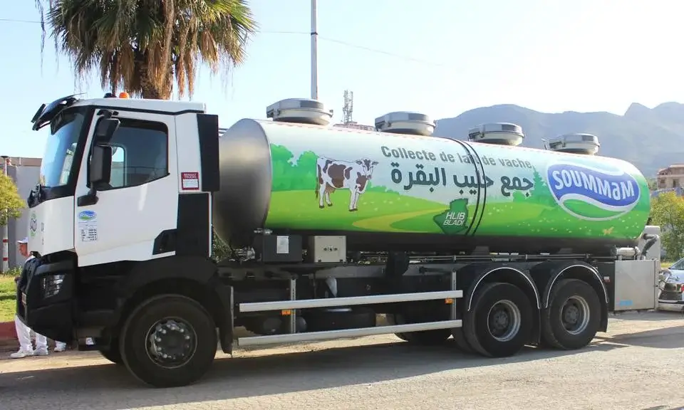 Laiterie Soummam : 250 millions de litres de lait collectés en 2024