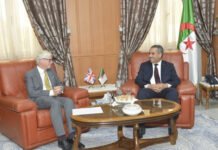 Algérie : Programme de formation de 1.000 enseignants d’anglais avec le Royaume-Uni