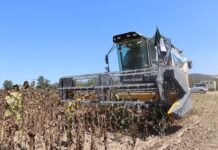 Saison des moissons : le ministère de l’Agriculture annonce une série de mesures pour faciliter l’opération