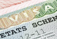 France : baisse des visas accordés aux Algériens