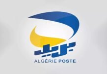 Concours de recrutement d’Algérie Poste : 7.223 candidats seront convoqués pour les entretiens