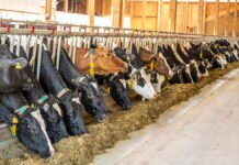 Projet Baladna : signature du deuxième lot de contrats pour plus de 635 millions de dollars