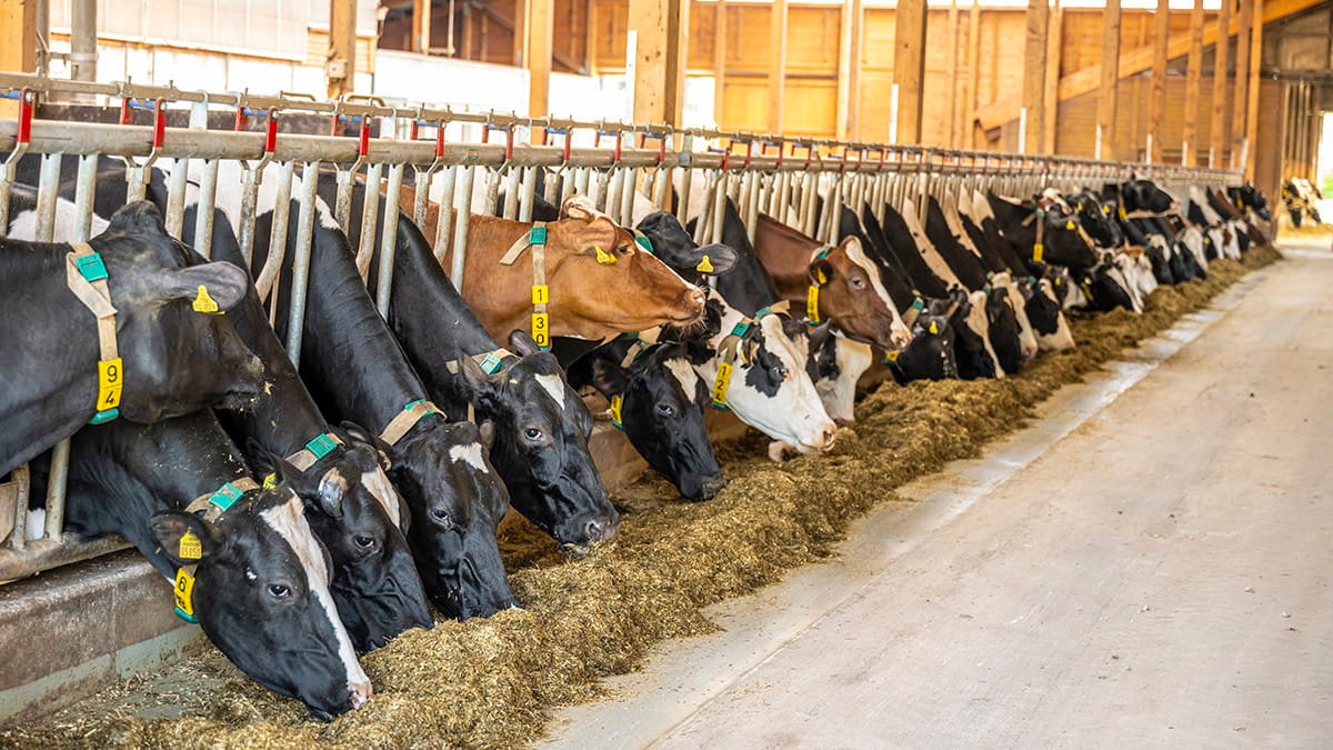 Projet Baladna : signature du deuxième lot de contrats pour plus de 635 millions de dollars