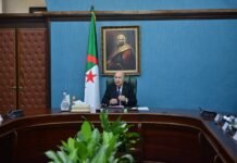 Algérie : importation « immédiate » de 10.000 nouveaux bus et de différents types de pneus