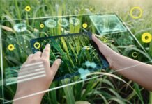 Sidi Bel Abbès : Visite d’une délégation italienne pour concrétiser le projet d’un Centre des technologies agricoles