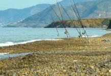 Tourisme : Approbation des plans d’aménagement de deux zones d’expansion touristique à Tizi-Ouzou