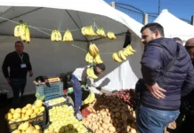 Algérie : l’économie informelle représente entre 30 % et 35 % du PIB national Algérie : l'économie informelle représente entre 30 % et 35 % du PIB national