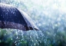 Des pluies à partir de jeudi sur plusieurs wilayas du Centre et de l’Est du pays