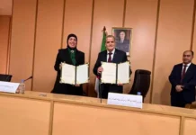 Algérie : un accord pour lancer une plateforme numérique dédiée aux importateurs
