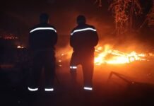 Feux de forêt en Algérie : 29 incendies enregistrés dans 10 wilayas du nord, Tipaza la plus touchée