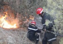 Feux de forêts à Tipasa : Aucune victime n’est à déplorer jusqu’à présent (ministère de la Santé)